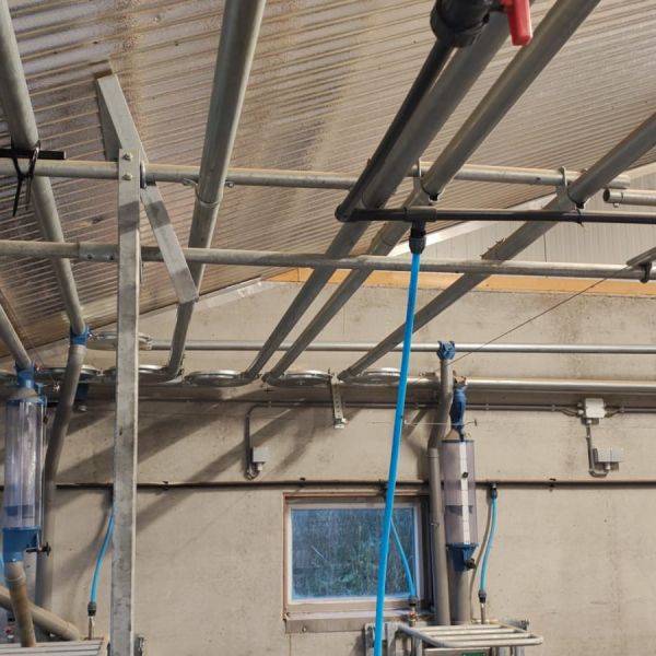 WhatsApp Image 2025-10-29 at 17.03.54 (1)