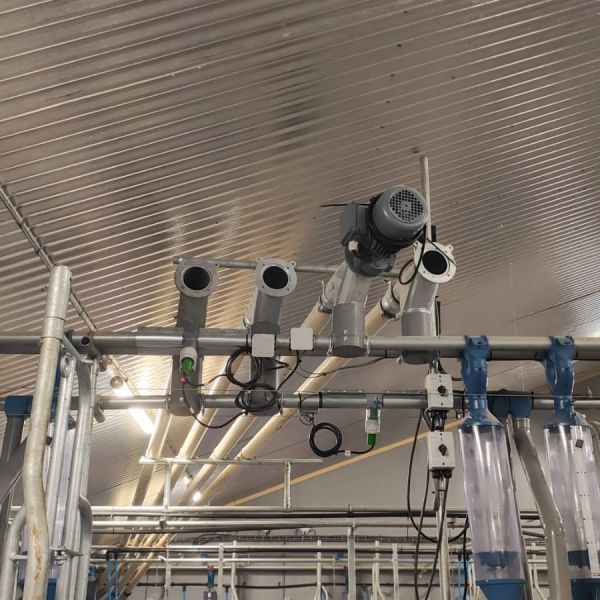 WhatsApp Image 2025-10-29 at 17.05.45